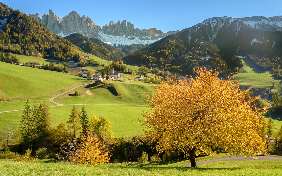 dolomiti foliage autunno nikon school workshop paesaggio notturna via lattea startrail 00002