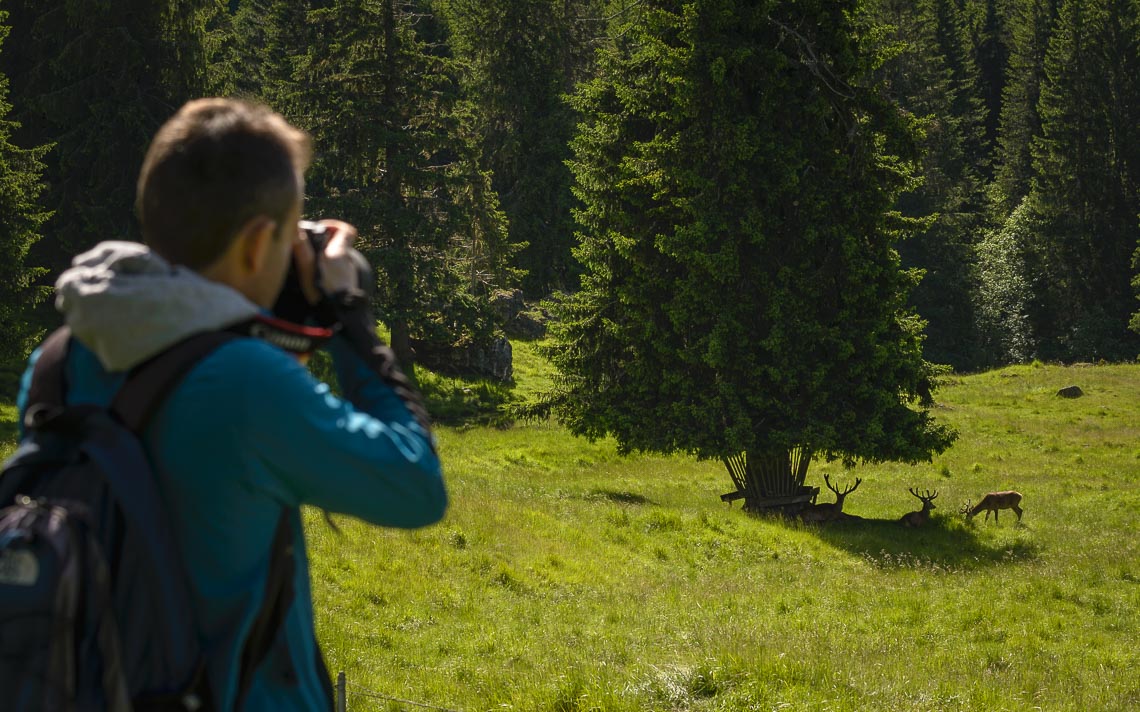 dolomiti nikon school workshop paesaggio notturna via lattea startrail 00030