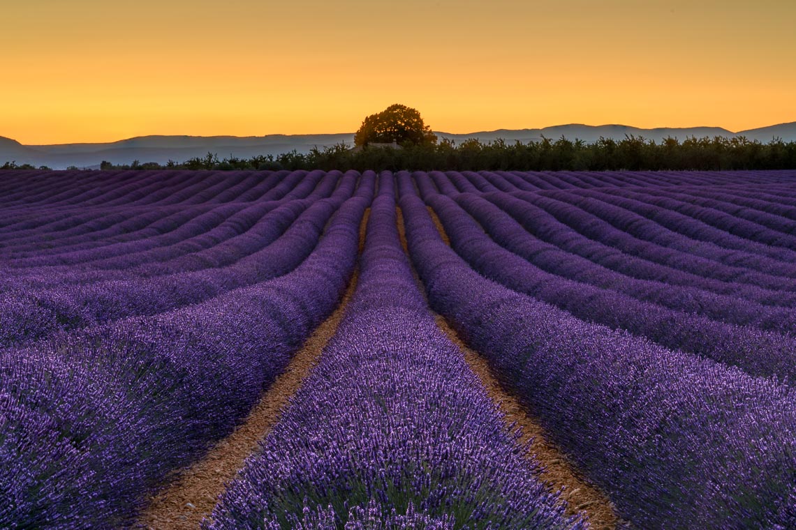 Provence France Photo Tour Travel Workshop 00001