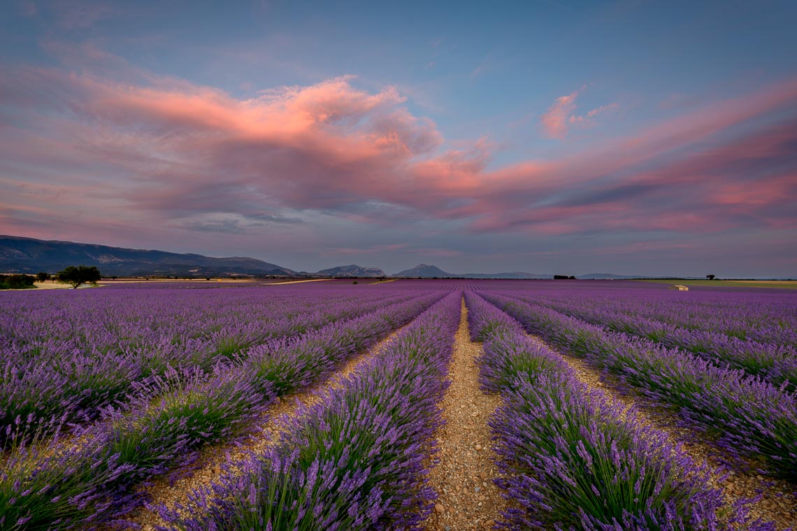 Provence France Photo Tour Travel Workshop 00007