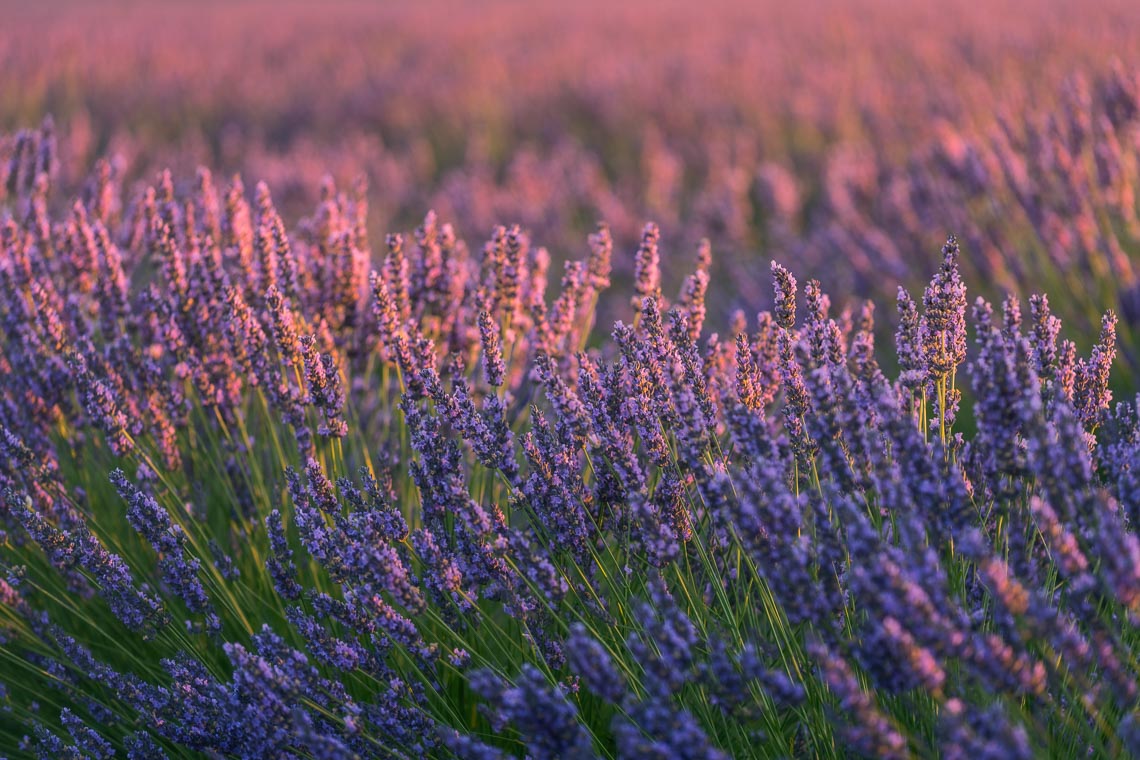 Provence France Photo Tour Travel Workshop 00012