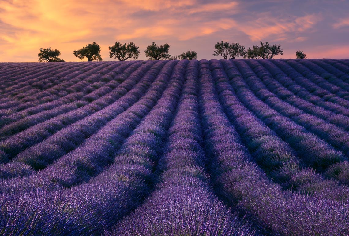 Provence France Photo Tour Travel Workshop 00016