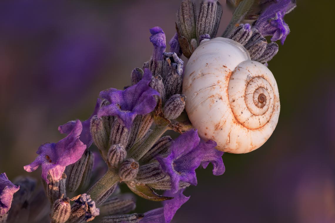 Provence France Photo Tour Travel Workshop 00018