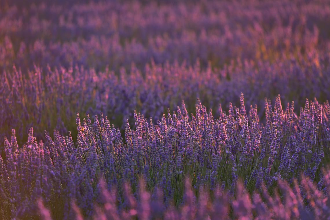 Provence France Photo Tour Travel Workshop 00021