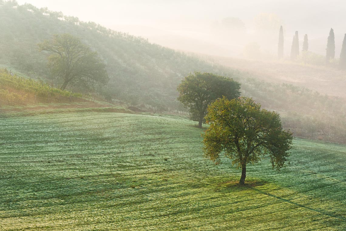 Tuscany Italy Photo Tour Travel Workshop 00054