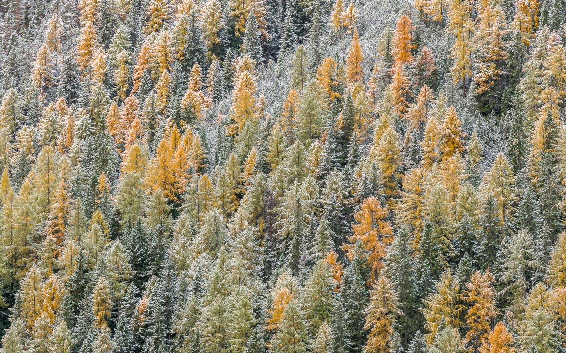 Autumn Dolomites Venice Italy Photo Tour Workshop 00005