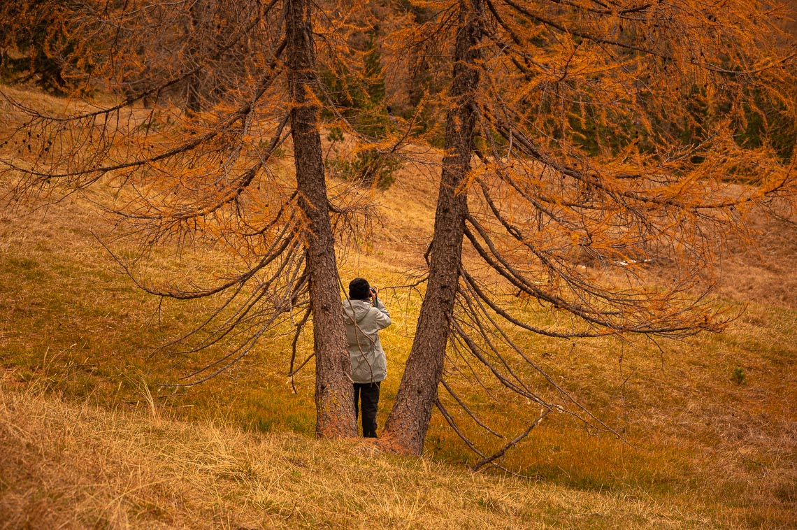 Autumn Dolomites Venice Italy Photo Tour Workshop 00011