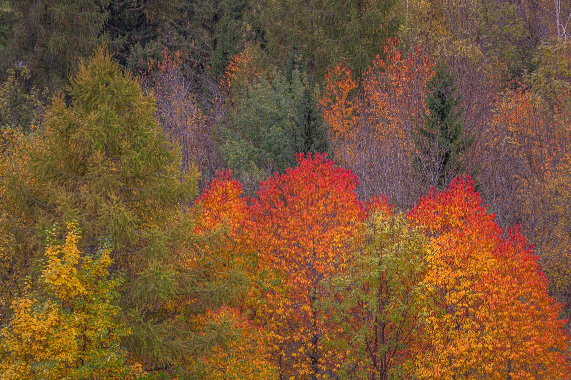 Autumn Dolomites Venice Italy Photo Tour Workshop 00014