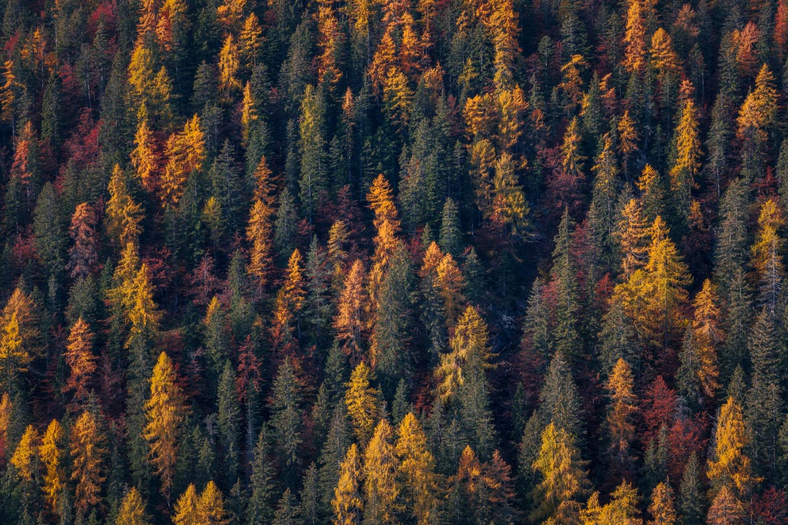 Autumn Dolomites Venice Italy Photo Tour Workshop 00023