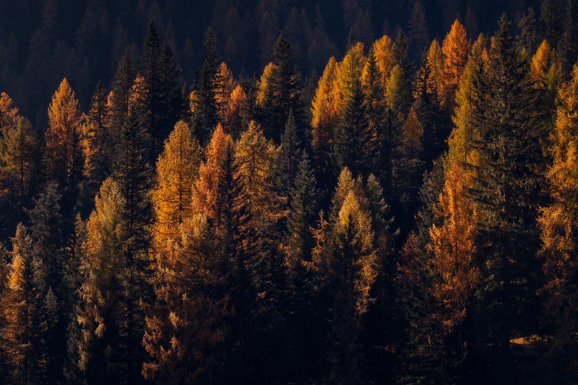 Autumn Dolomites Venice Italy Photo Tour Workshop 00029