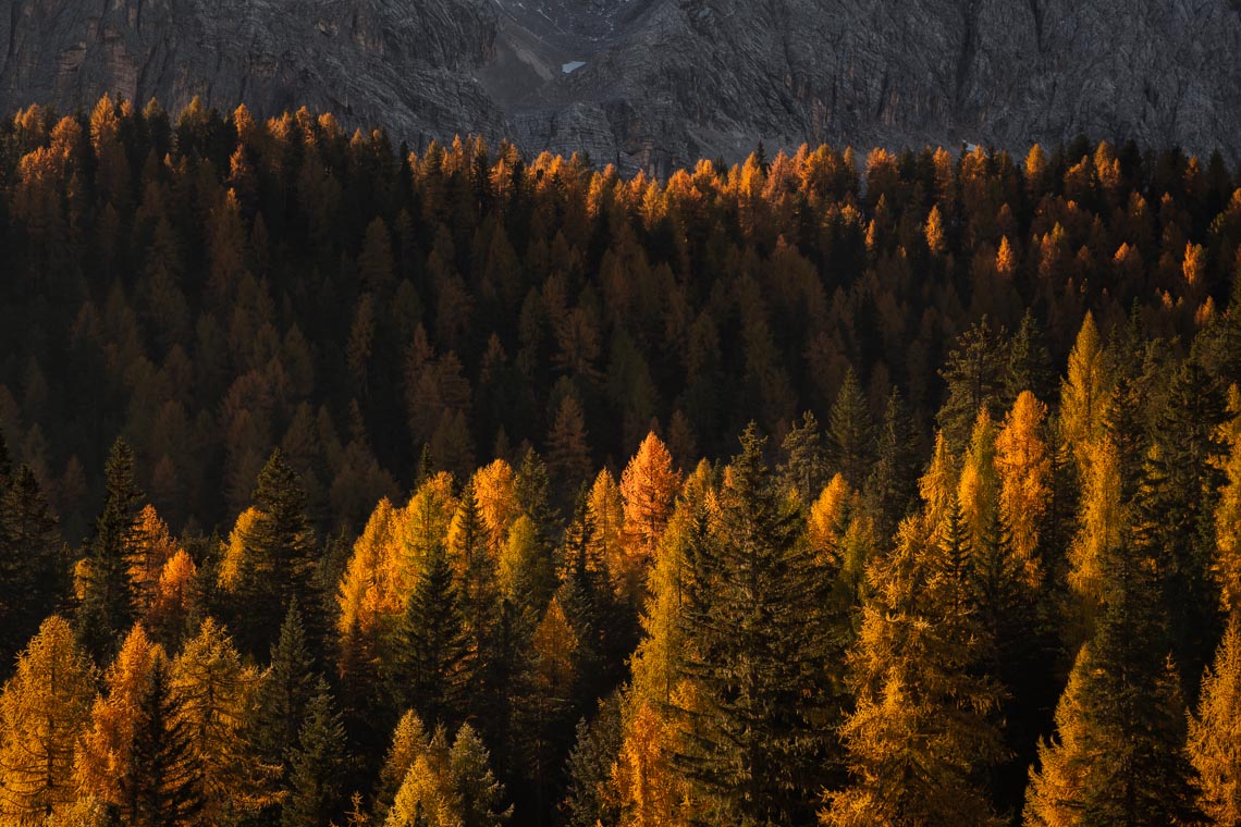 Autumn Dolomites Venice Italy Photo Tour Workshop 00030