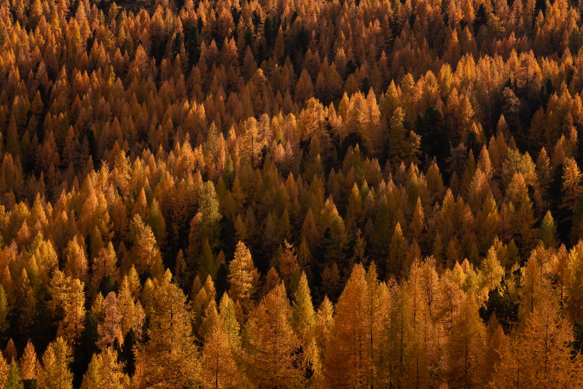 Autumn Dolomites Venice Italy Photo Tour Workshop 00031