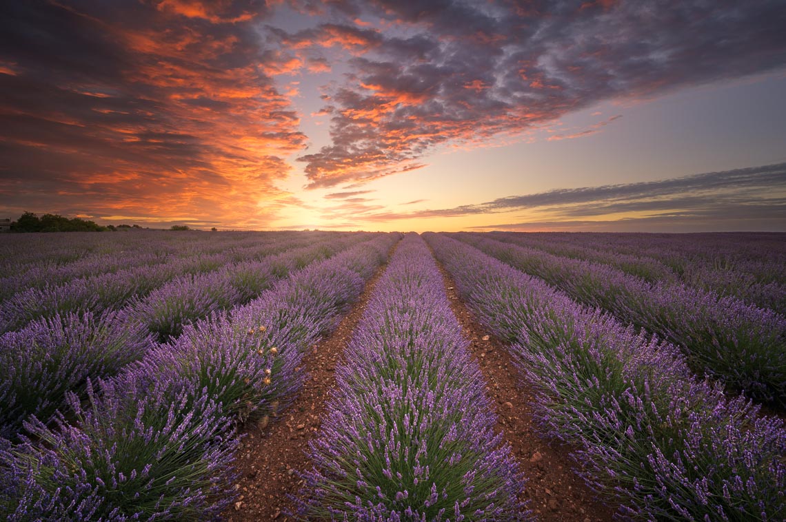 Provence France Photo Tour Travel Workshop 00032