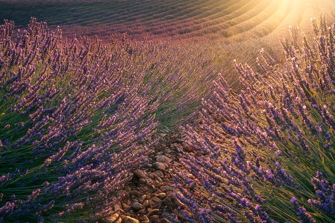 Provence France Photo Tour Travel Workshop 00034