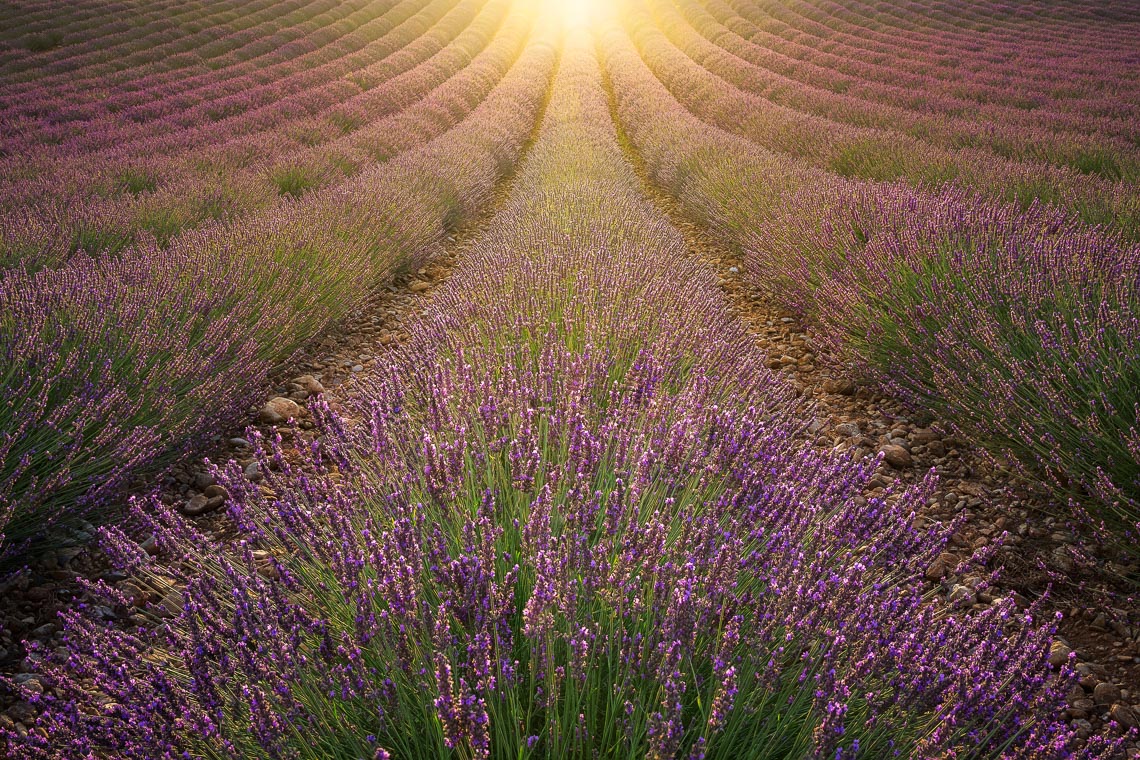 Provence France Photo Tour Travel Workshop 00035