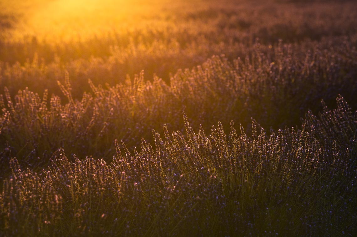 Provence France Photo Tour Travel Workshop 00037