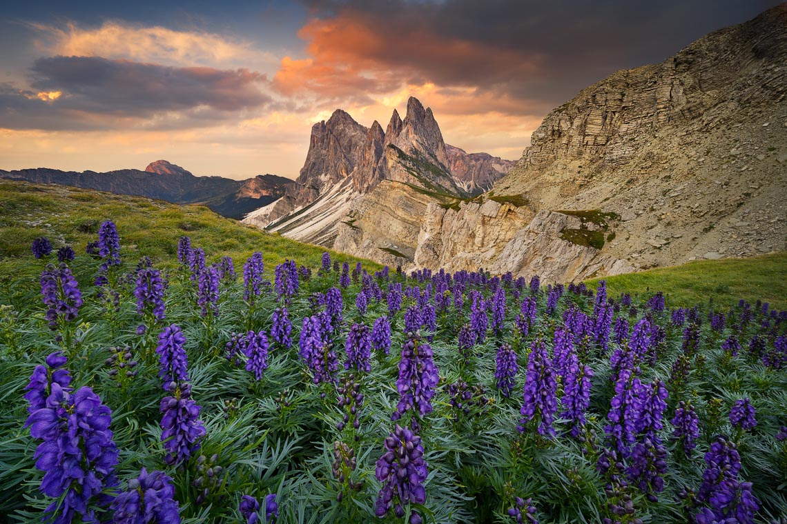 Dolomites Venice Italy Photo Tour Workshop 00022