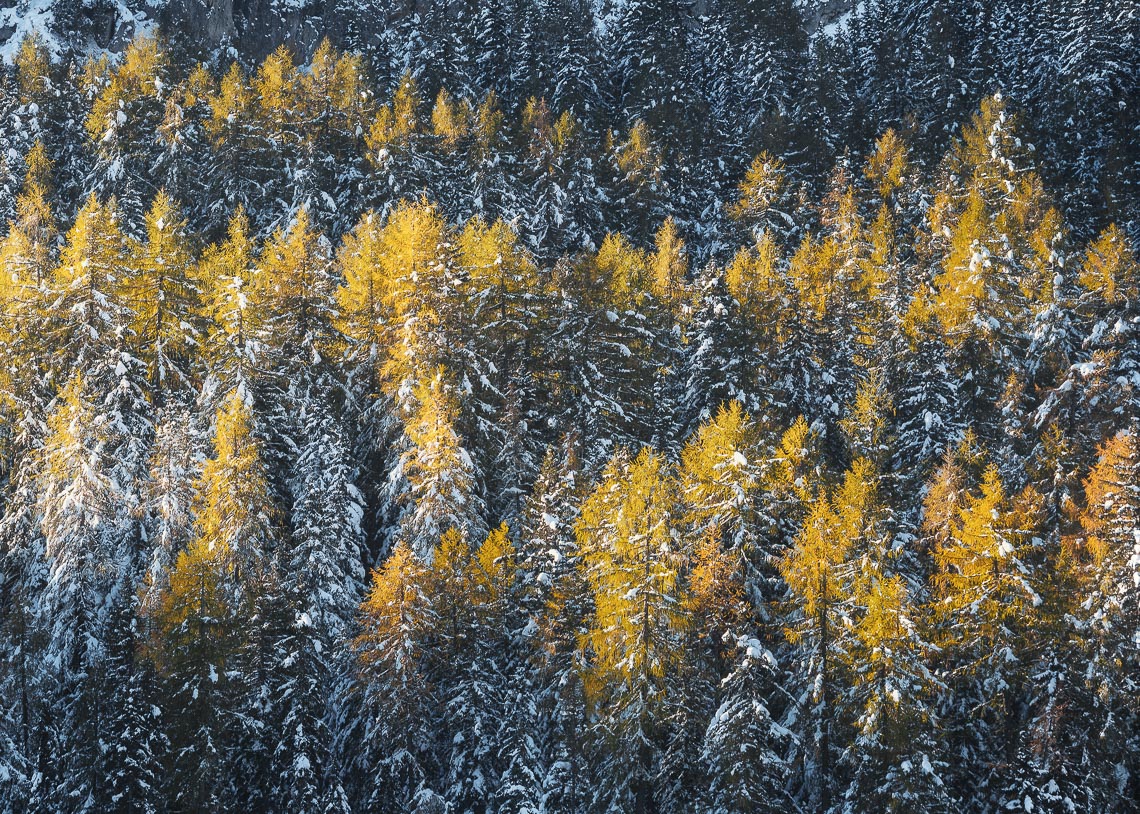 Autumn Dolomites Venice Italy Photo Tour Workshop 00044