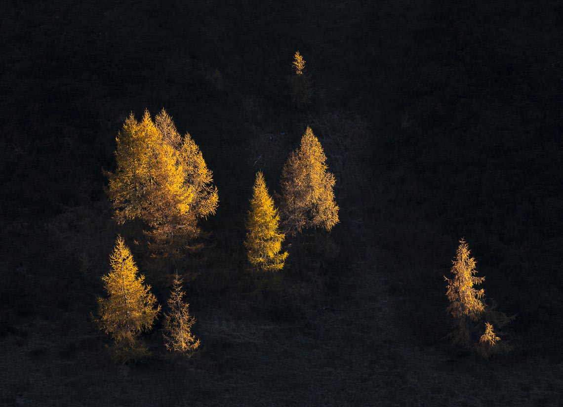 Autumn Dolomites Venice Italy Photo Tour Workshop 00053