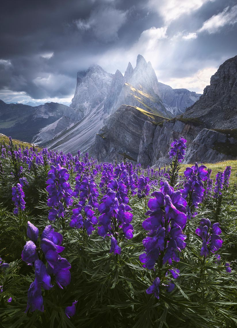 Dolomites Venice Italy Photo Tour Workshop 00066