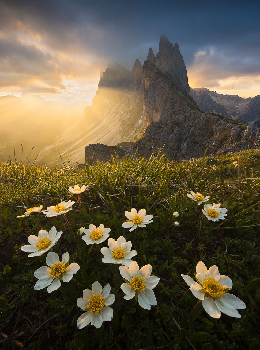 Dolomites Venice Italy Photo Tour Workshop 00072