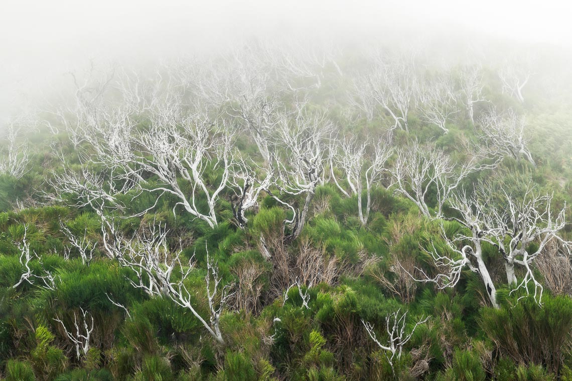 Madeira Photo Tour Travel Workshop 00007