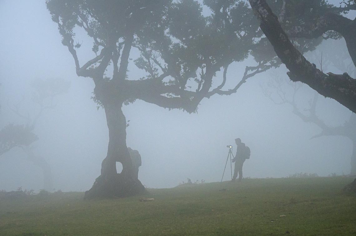 Madeira Photo Tour Travel Workshop 00008