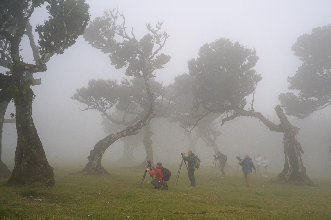 Madeira Photo Tour Travel Workshop 00009