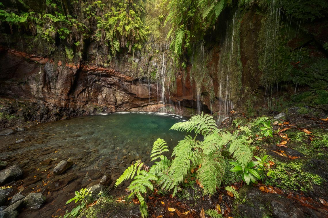 Madeira Photo Tour Travel Workshop 00022