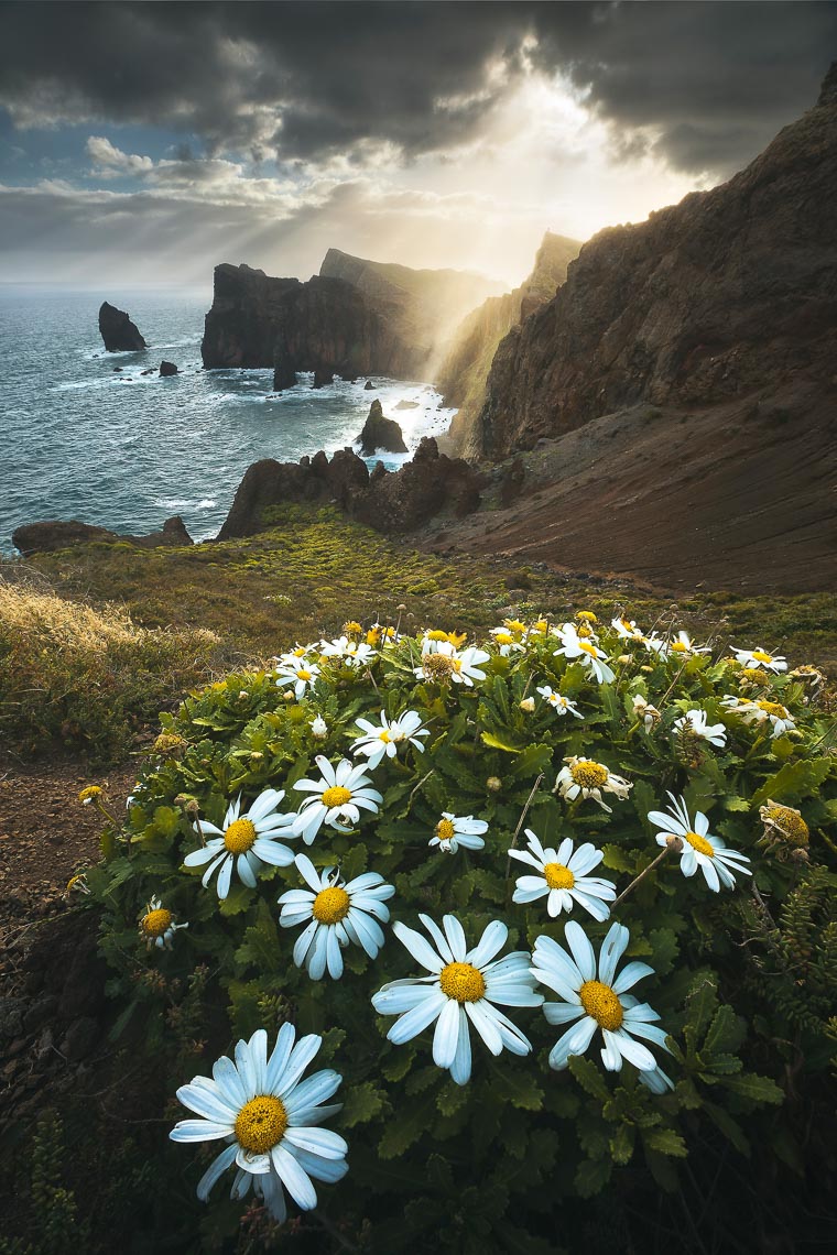 Madeira Photo Tour Travel Workshop 00046