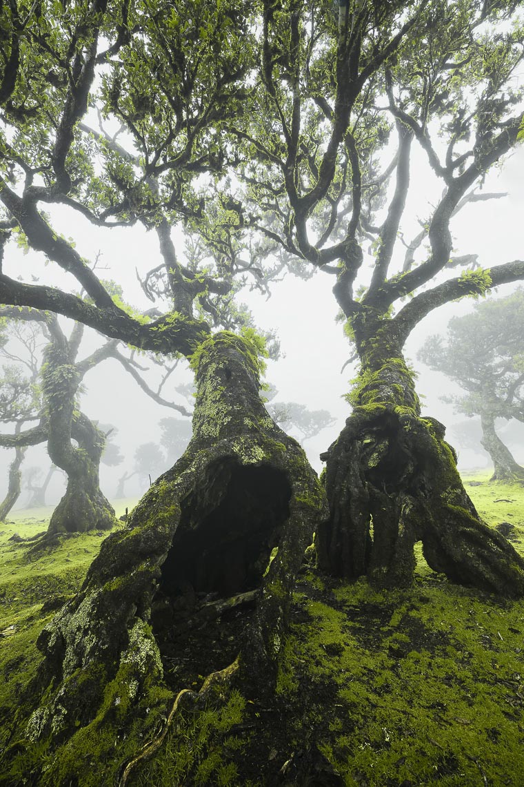 Madeira Photo Tour Travel Workshop 00051